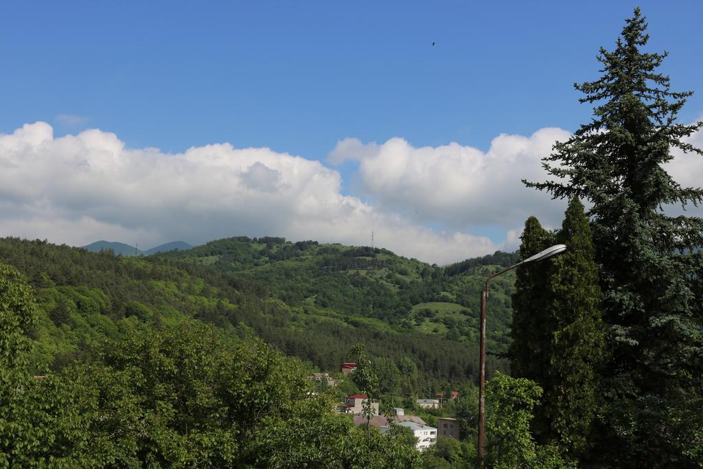 Dilijan Garden House 빌라 외부 사진